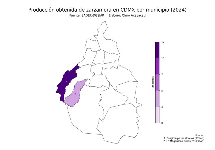 Producción obtenida de zarzamora en Ciudad de México por delegación