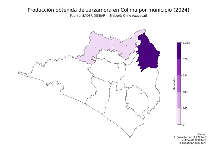 Producción obtenida de zarzamora en Colima por municipio