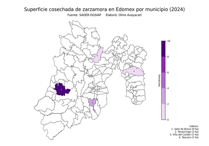 Superficie cosechada de zarzamora en Estado de México por municipio