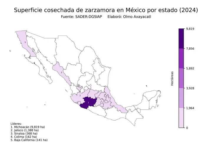 Superficie cosechada de zarzamora en México por estado