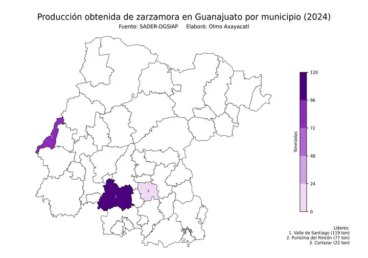 Producción obtenida de zarzamora en Guanajuato por municipio