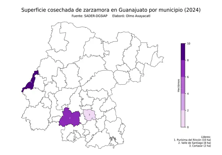 Superficie cosechada de zarzamora en Guanajuato por municipio