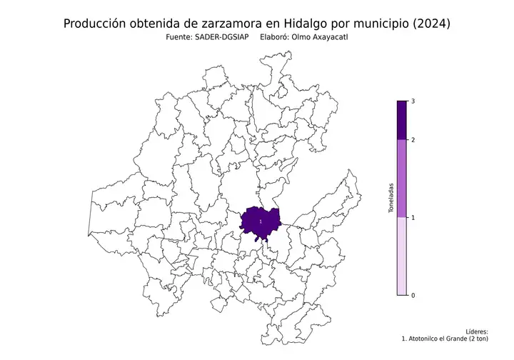 Producción obtenida de zarzamora en Hidalgo por municipio