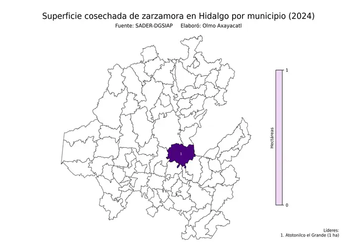 Superficie cosechada de zarzamora en Hidalgo por municipio