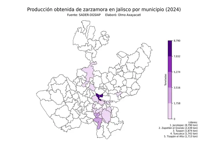 Producción obtenida de zarzamora en Jalisco por municipio