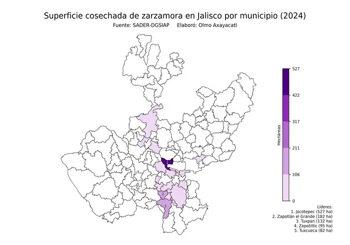 Superficie cosechada de zarzamora en Jalisco por municipio
