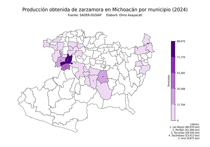 Producción obtenida de zarzamora en Michoacán por municipio