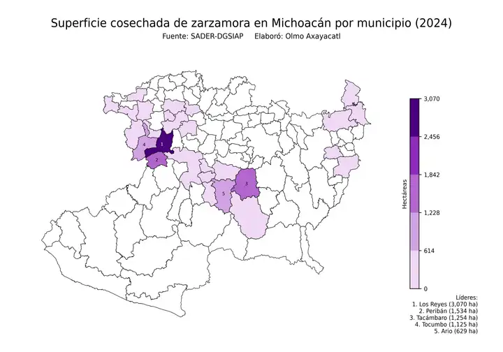 Superficie cosechada de zarzamora en Michoacán por municipio