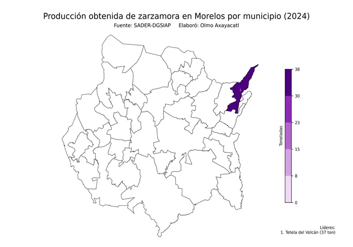 Producción obtenida de zarzamora en Morelos por municipio