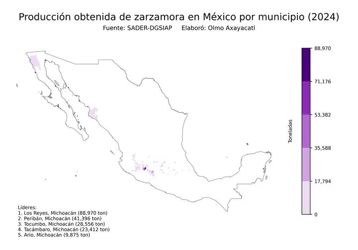 Producción obtenida de zarzamora en México por municipio
