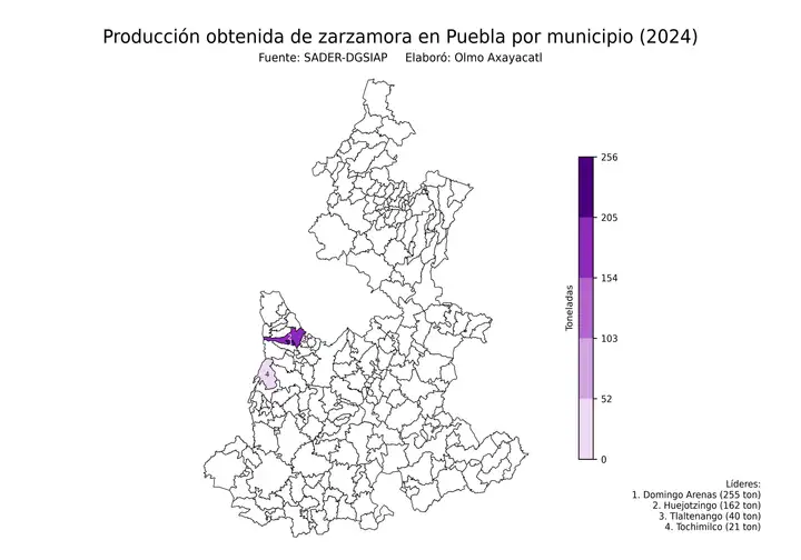 Producción obtenida de zarzamora en Puebla por municipio