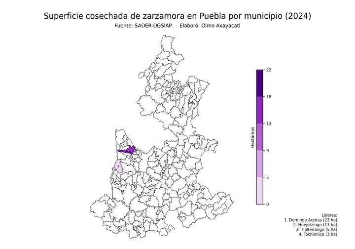 Superficie cosechada de zarzamora en Puebla por municipio