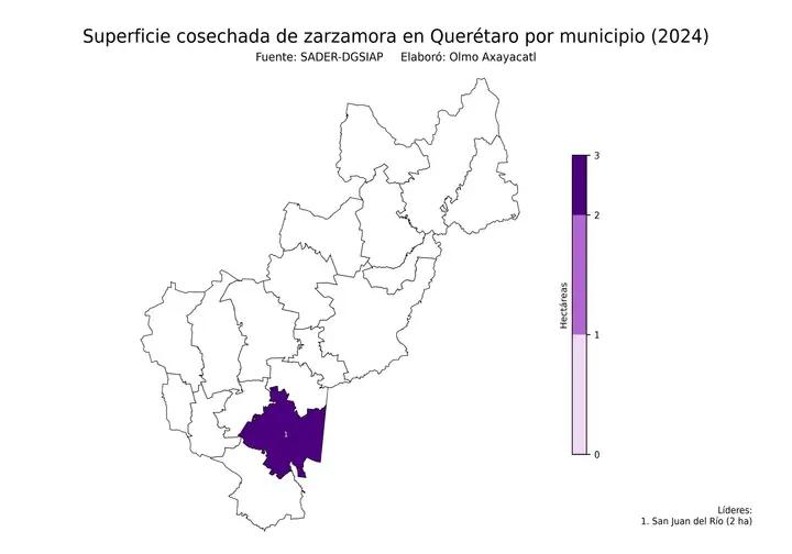 Superficie cosechada de zarzamora en Querétaro por municipio