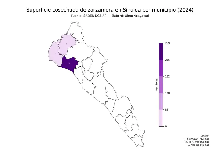 Superficie cosechada de zarzamora en Sinaloa por municipio