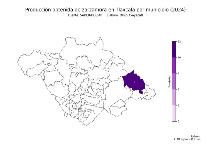 Producción obtenida de zarzamora en Tlaxcala por municipio