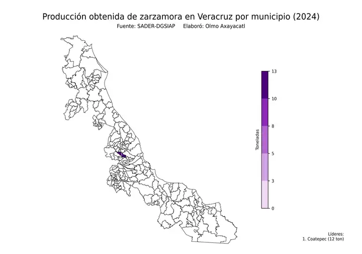 Producción obtenida de zarzamora en Veracruz por municipio