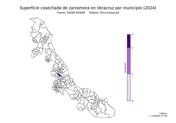 Superficie cosechada de zarzamora en Veracruz por municipio
