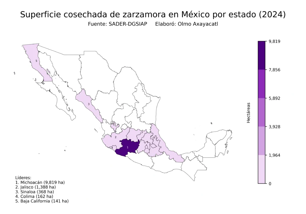 México Producción Agrícola Zarzamora (Estados Superficie)