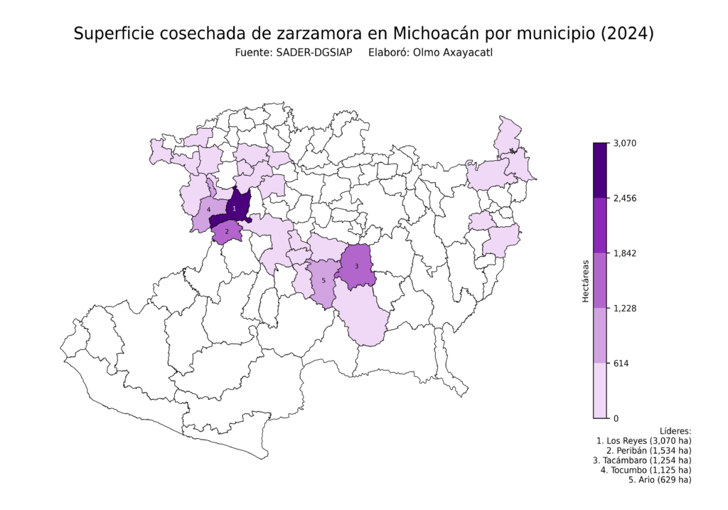 México Producción Agrícola Zarzamora Michoacán (superficie cosechada)