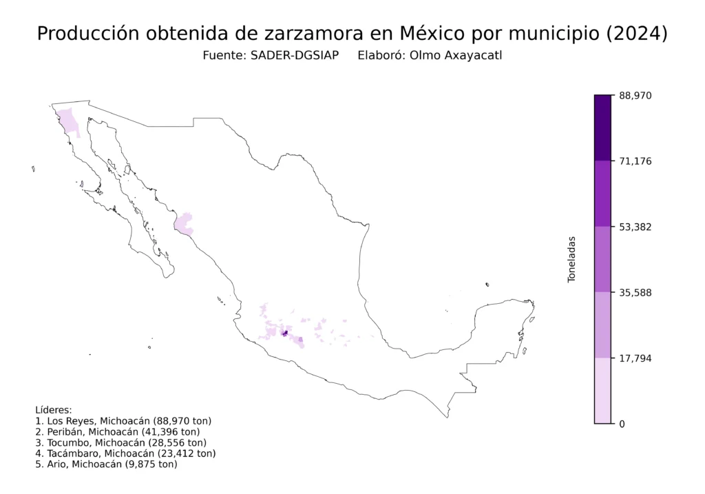 México Producción Agrícola Zarzamora (Municipios Producción)