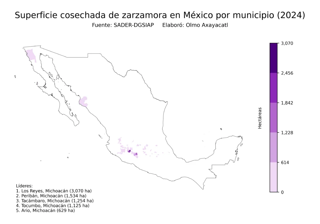 México Producción Agrícola Zarzamora (Municipios Superficie)