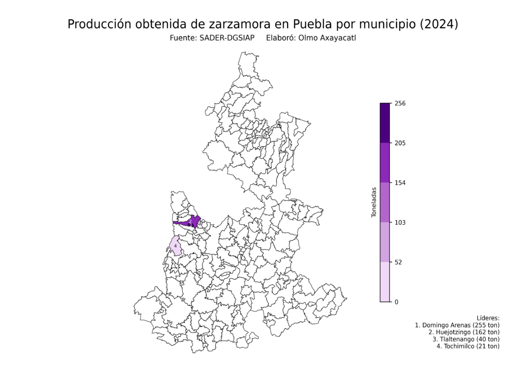 México Producción Agrícola Zarzamora Puebla (producción obtenida)