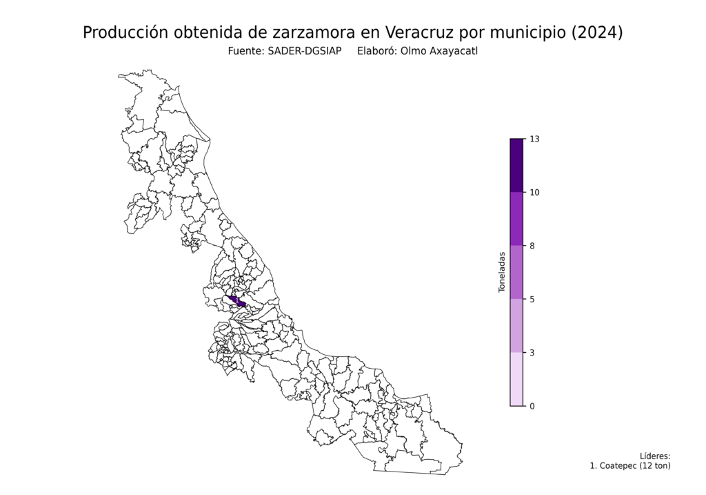 México Producción Agrícola Zarzamora Veracruz (producción obtenida)