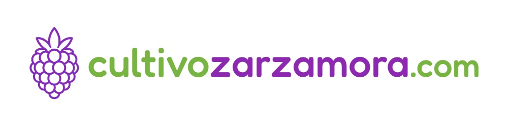 Logotipo — cultivozarzamora.com