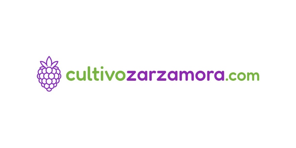 Curiosidades diversas sobre el cultivo de zarzamora